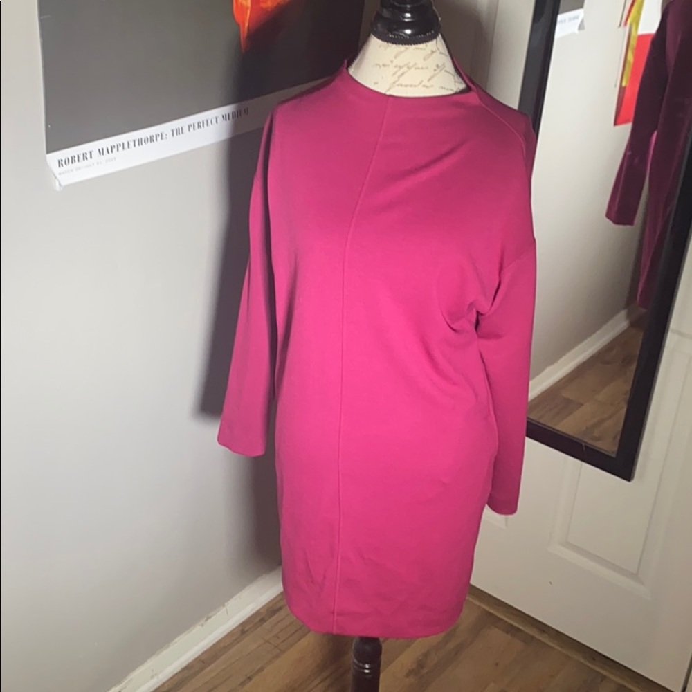 Plum Dress with pockets